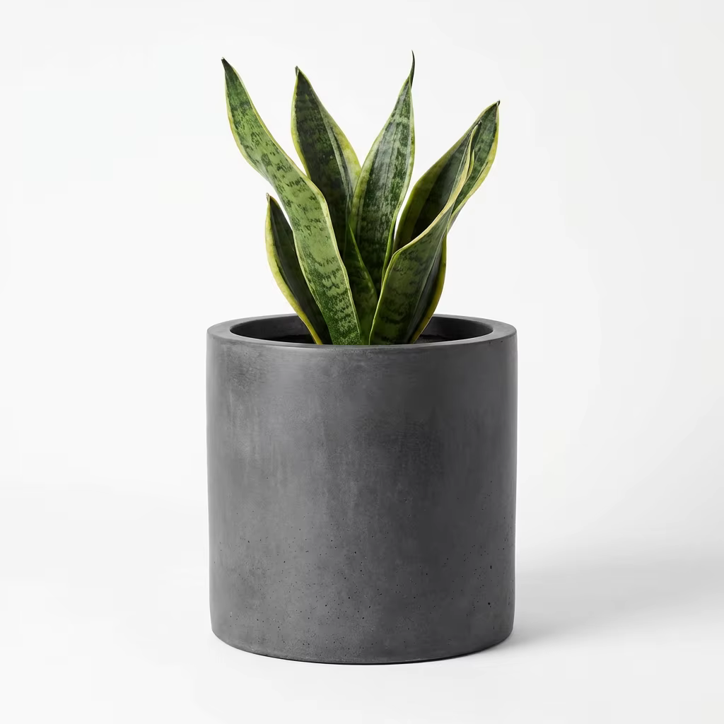 Concrete